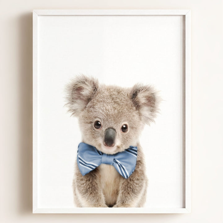 Baby Koala