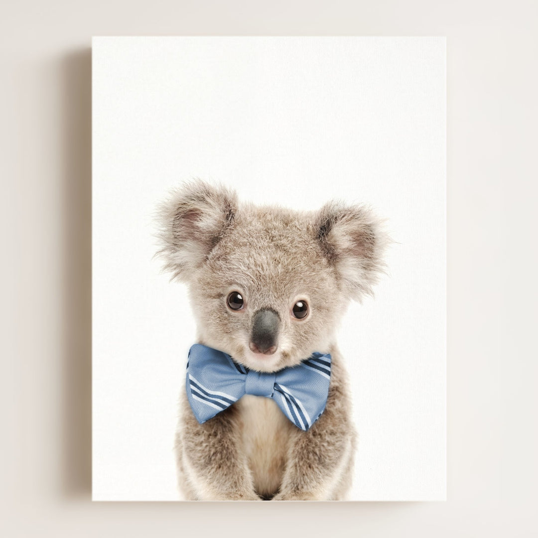 Baby Koala