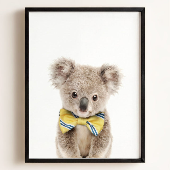 Baby Koala