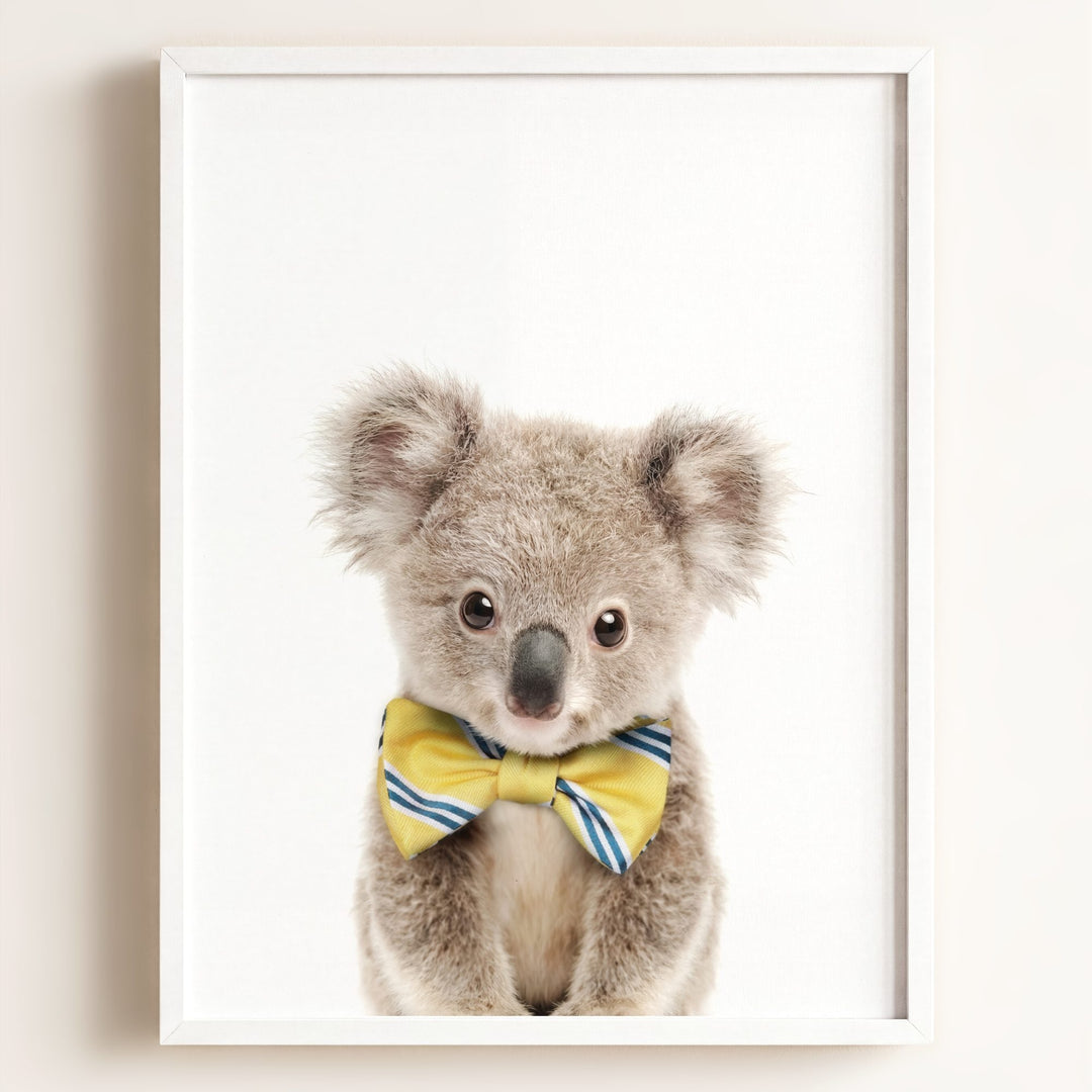 Baby Koala
