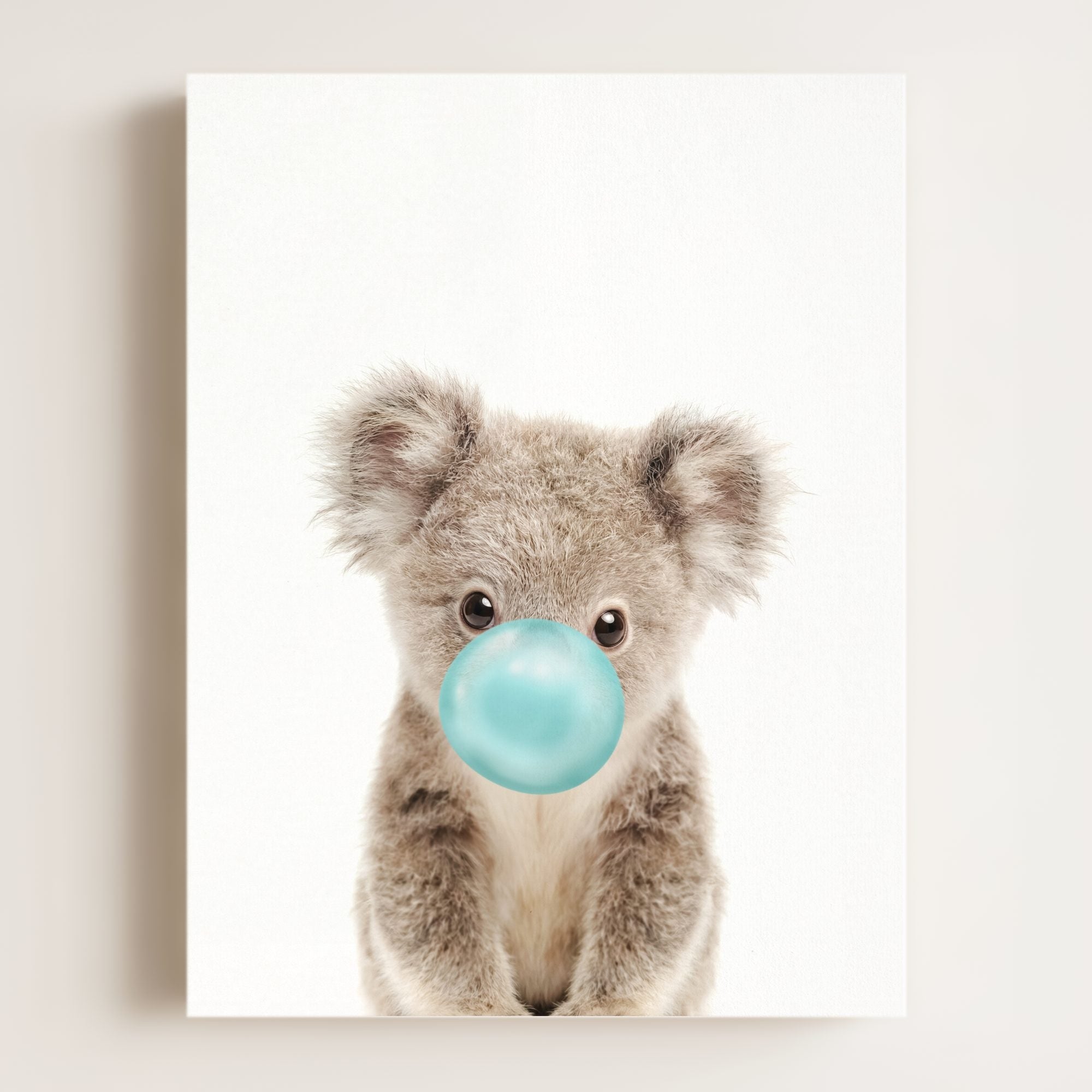 Baby Koala