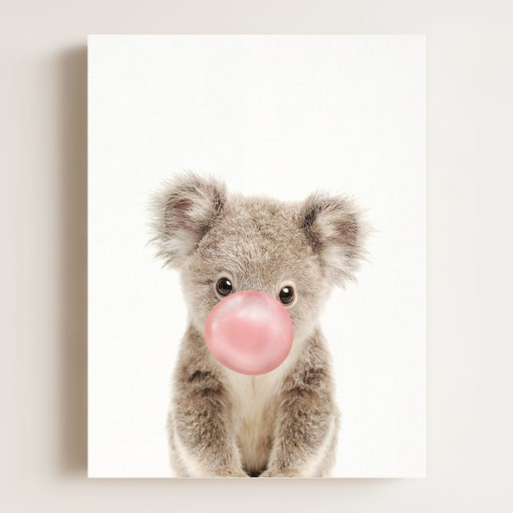 Baby Koala