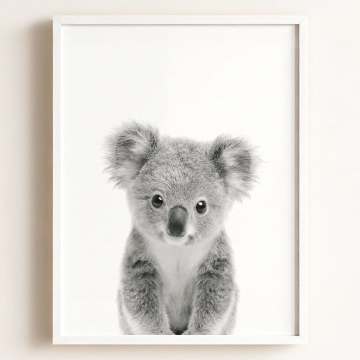 Baby Koala