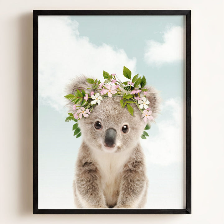 Baby Koala