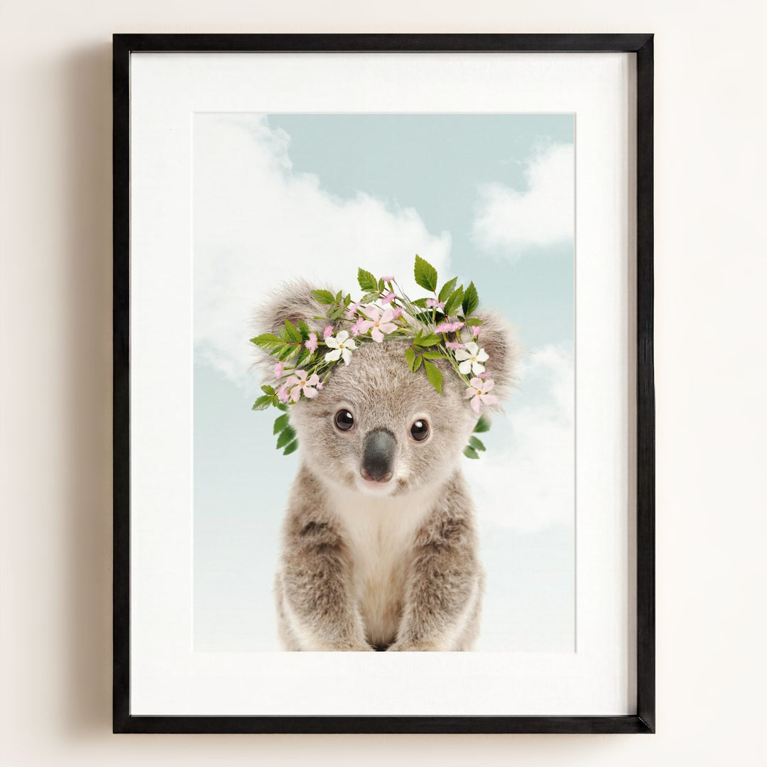 Baby Koala