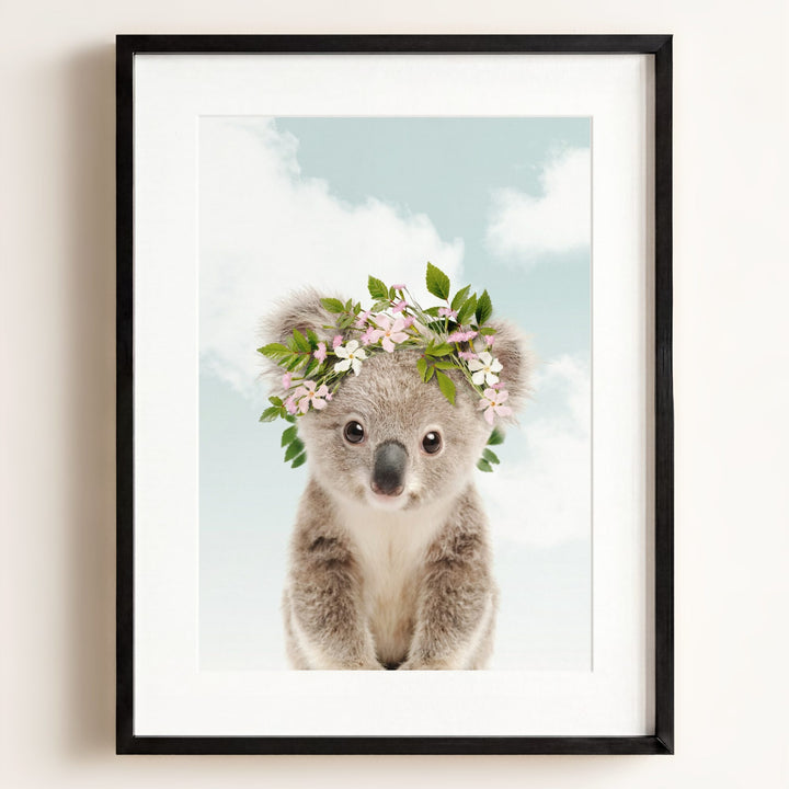 Baby Koala