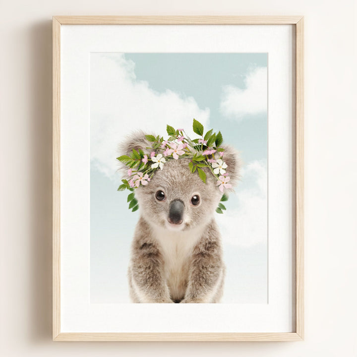 Baby Koala