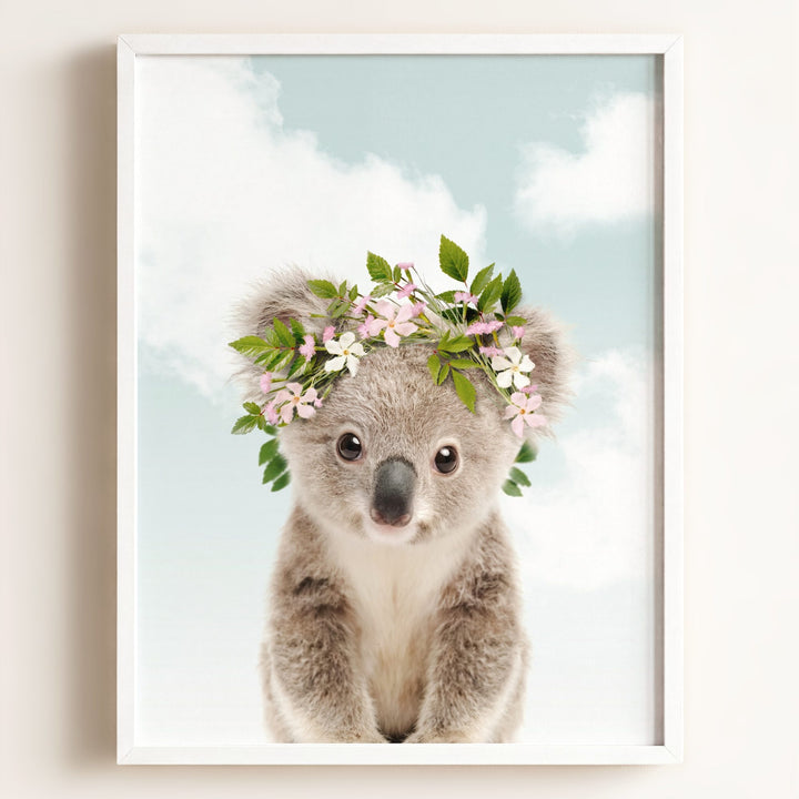 Baby Koala