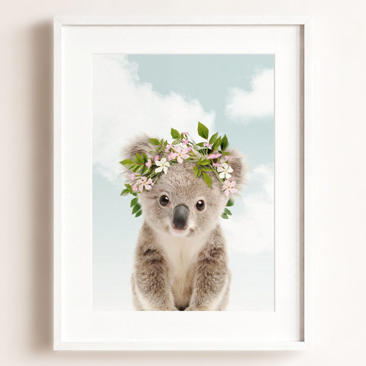 Baby Koala