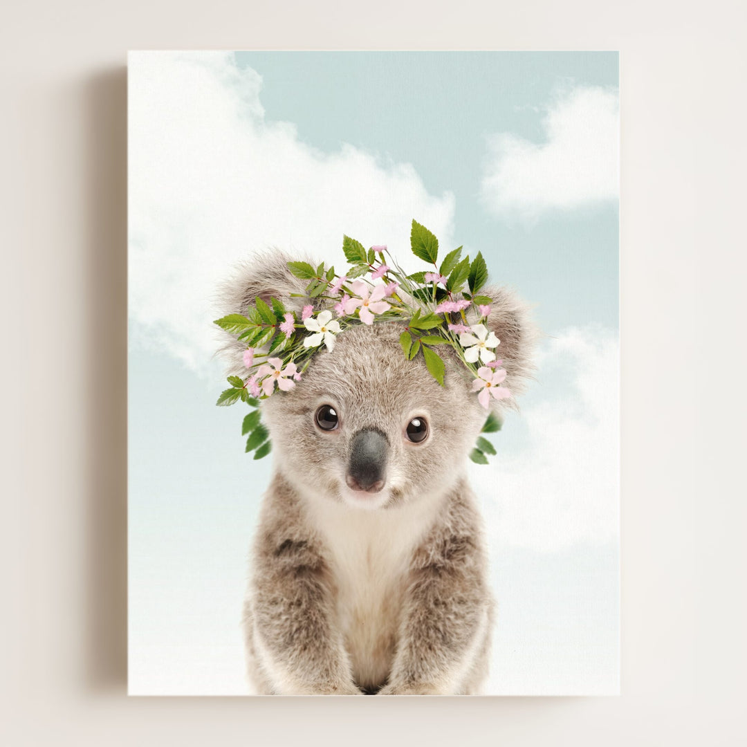 Baby Koala
