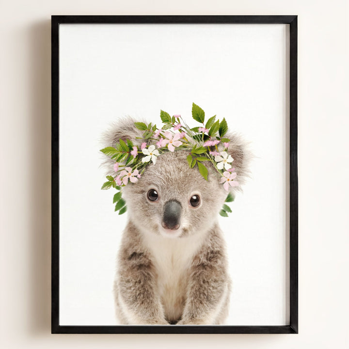 Baby Koala