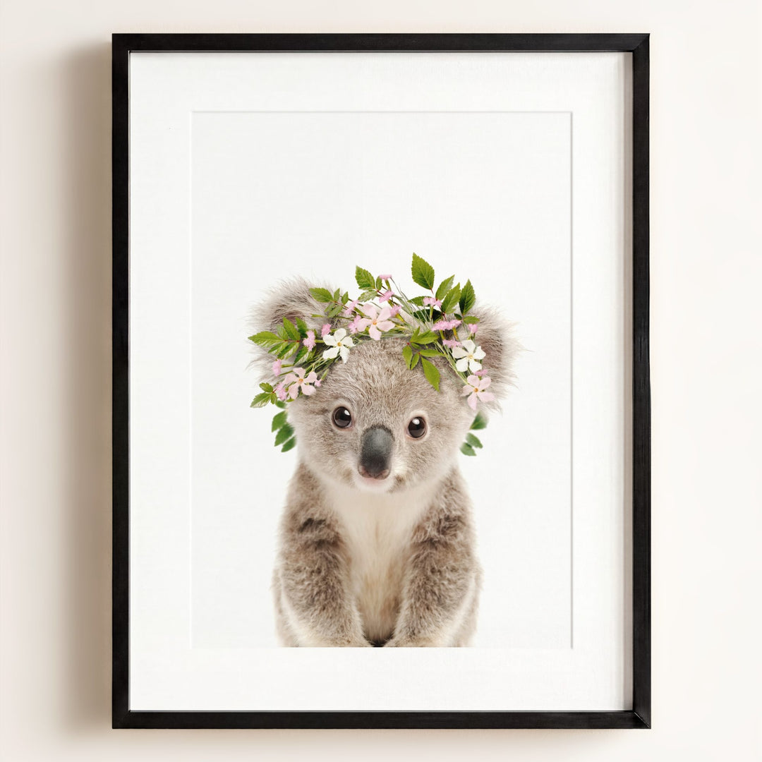 Baby Koala