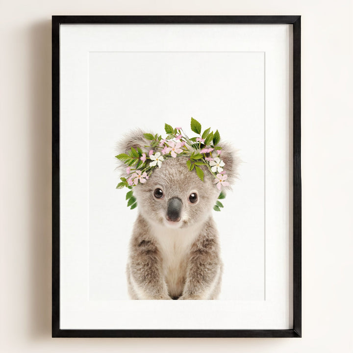 Baby Koala