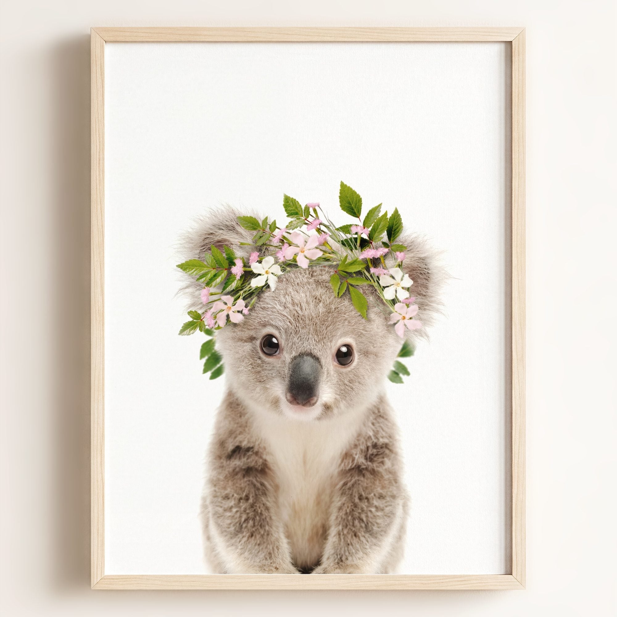 Baby Koala