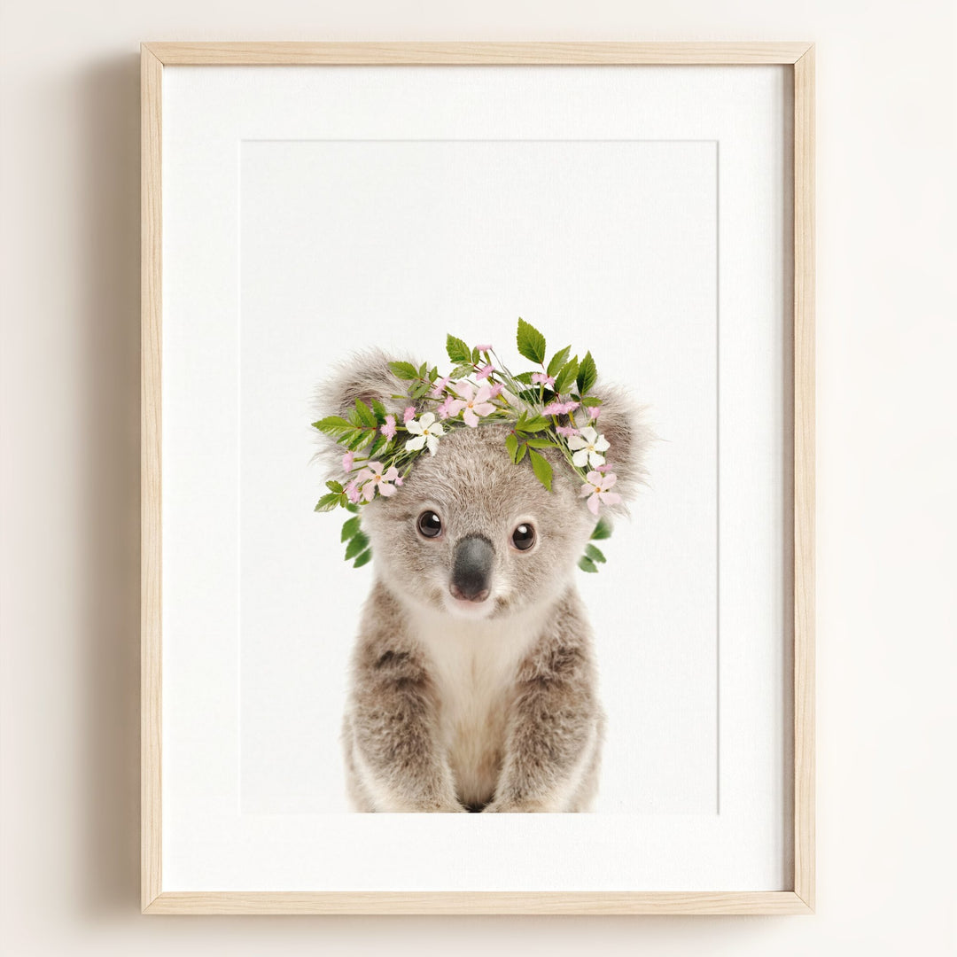 Baby Koala