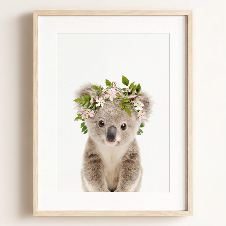 Baby Koala
