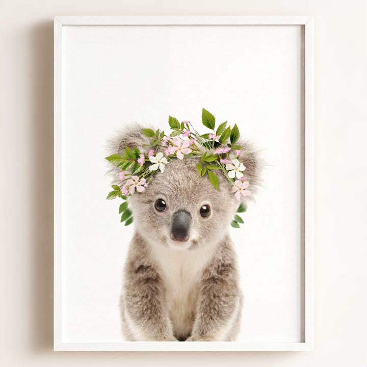 Baby Koala