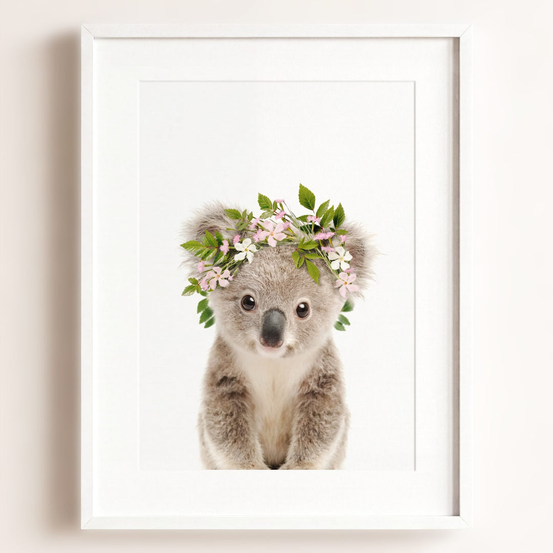 Baby Koala
