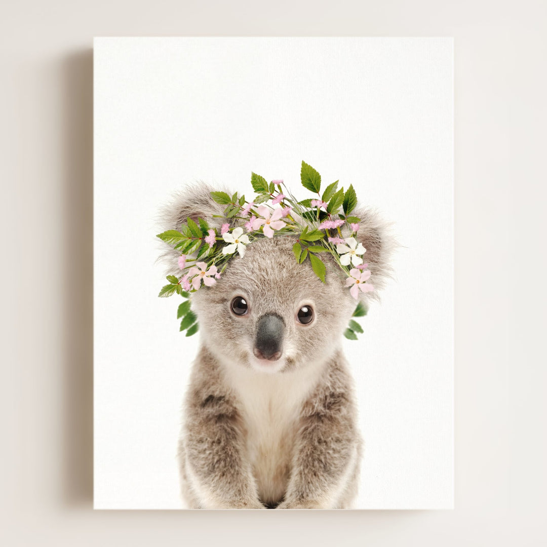 Baby Koala