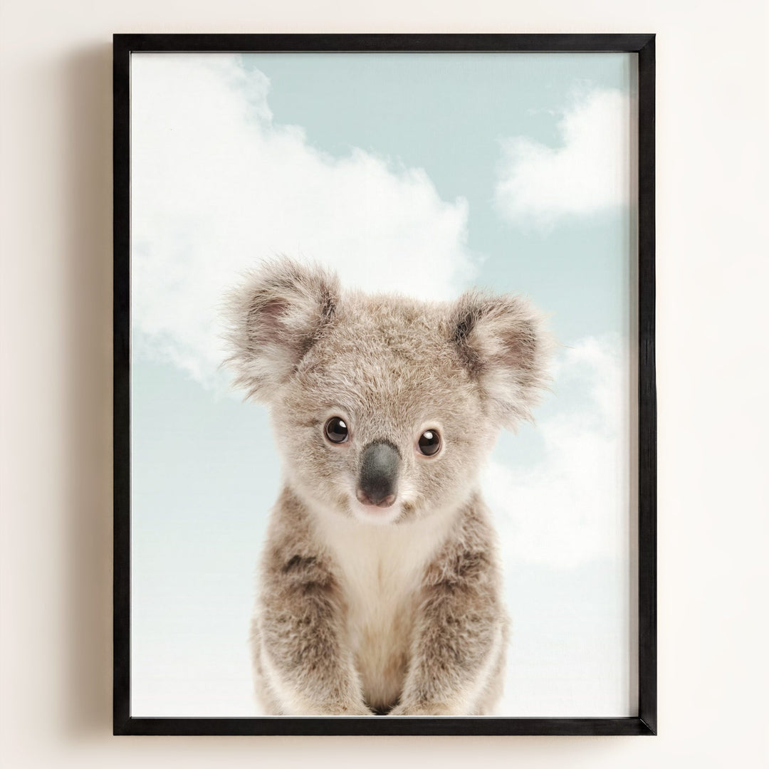 Baby Koala