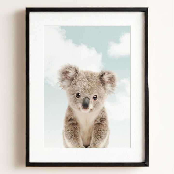 Baby Koala