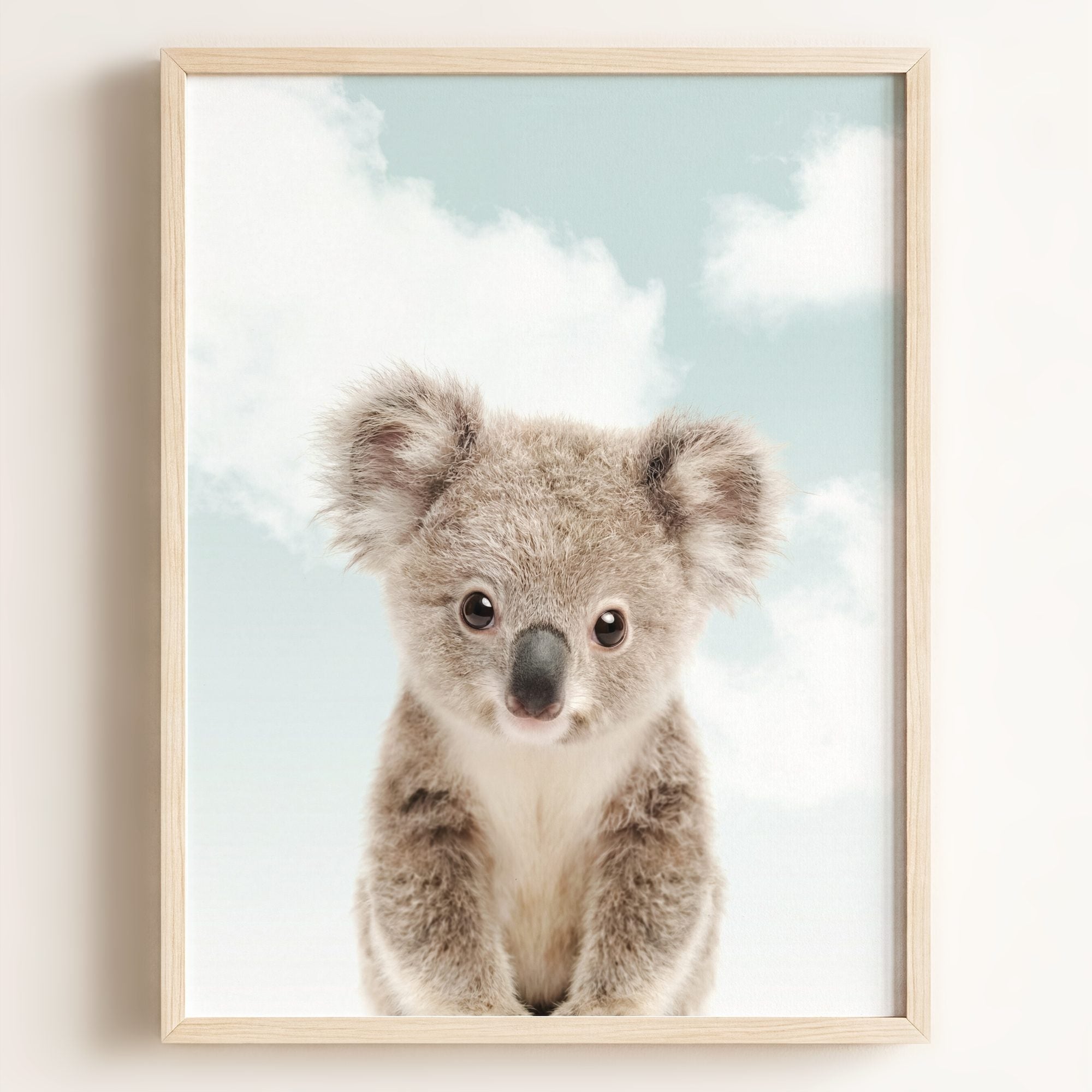 Baby Koala