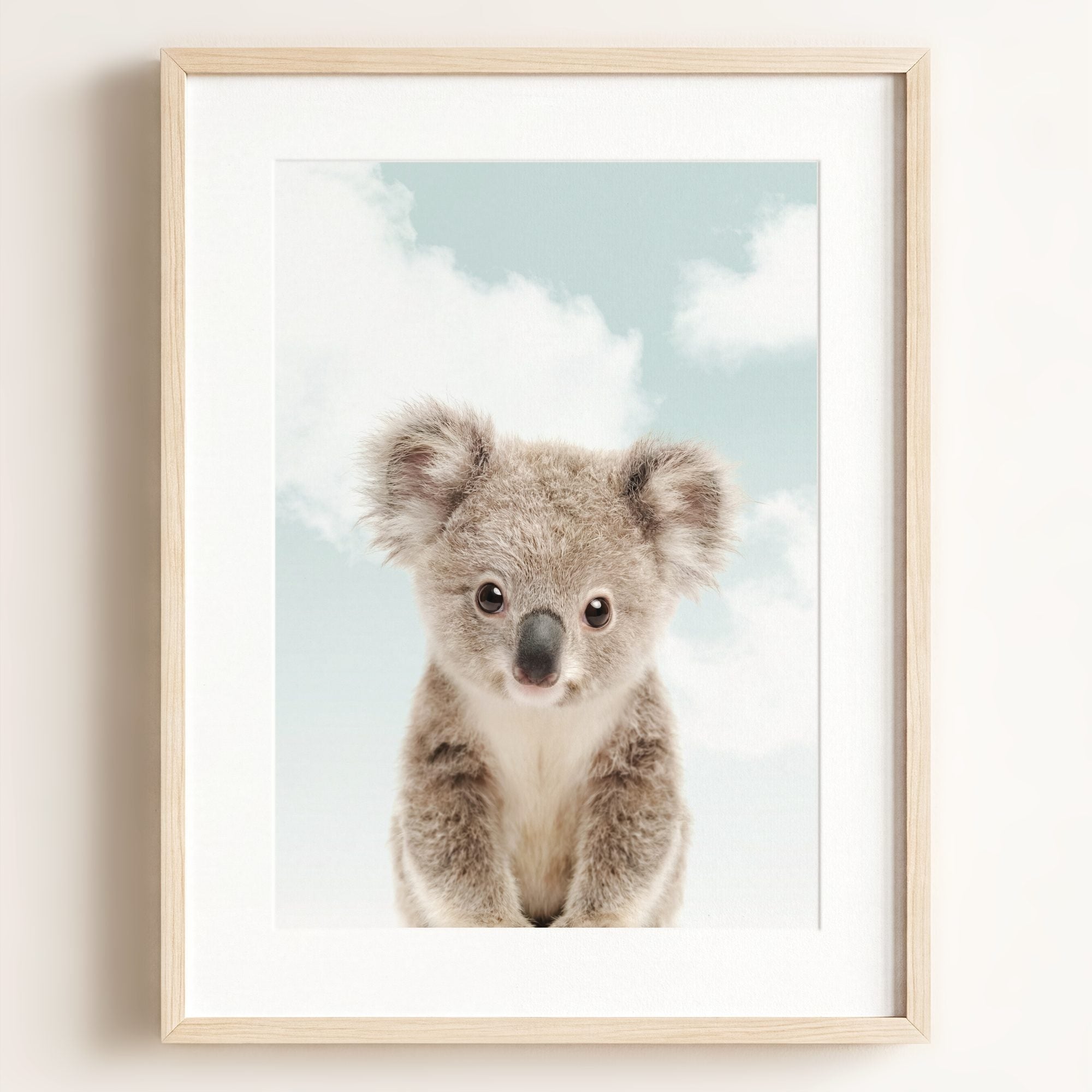 Baby Koala