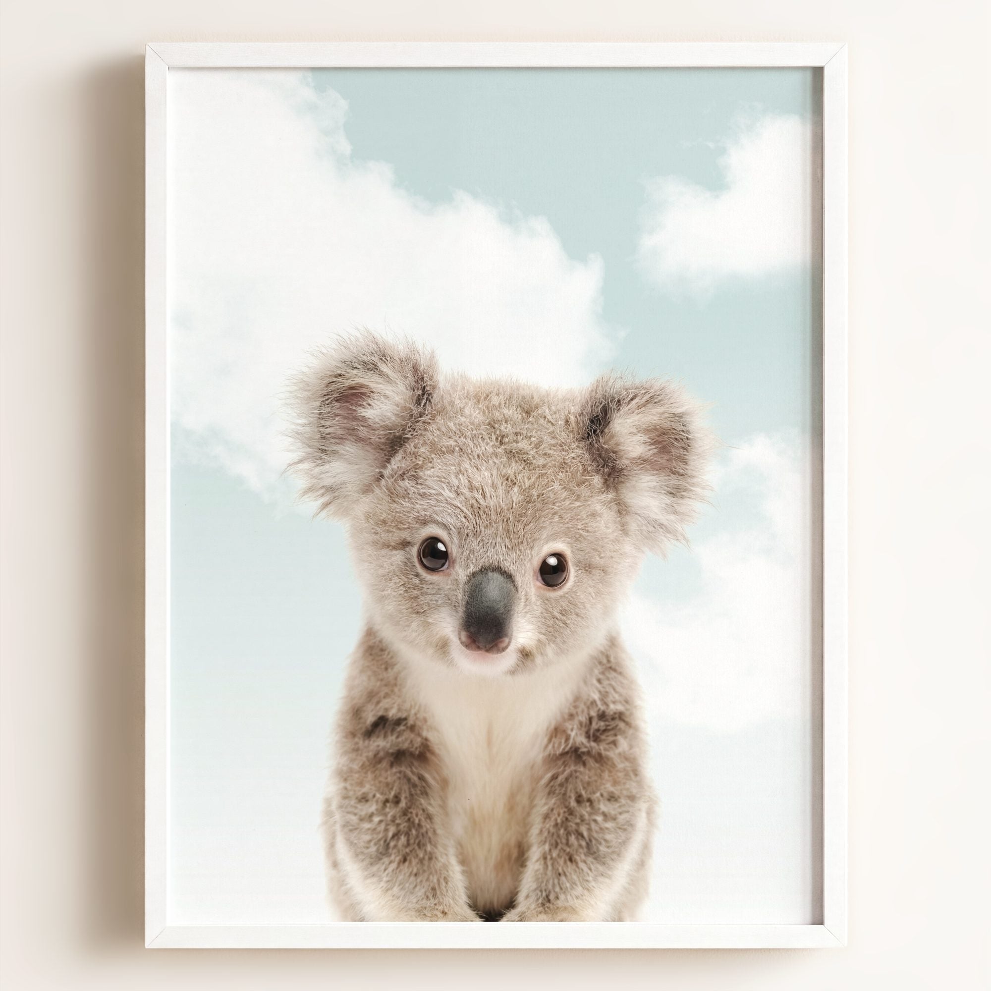 Baby Koala