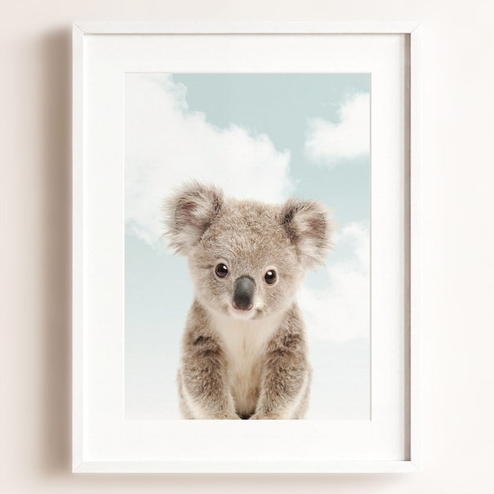 Baby Koala