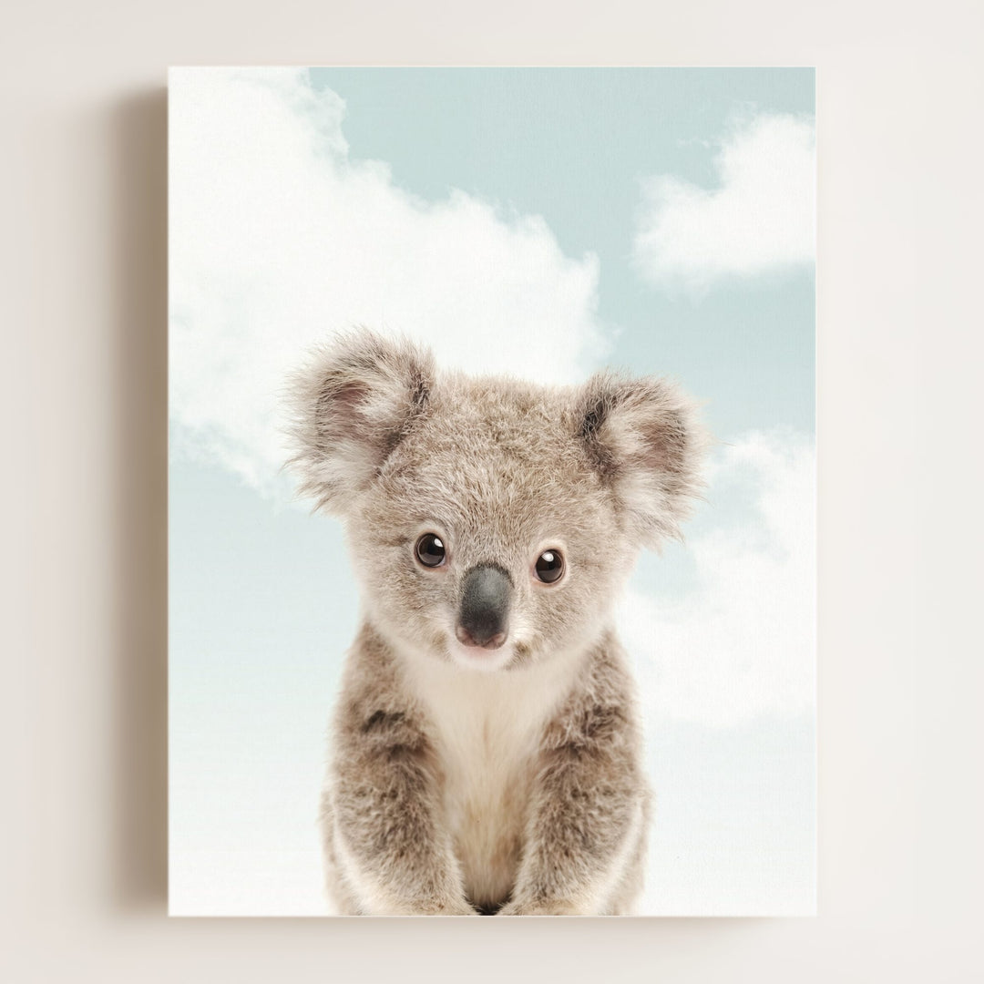 Baby Koala