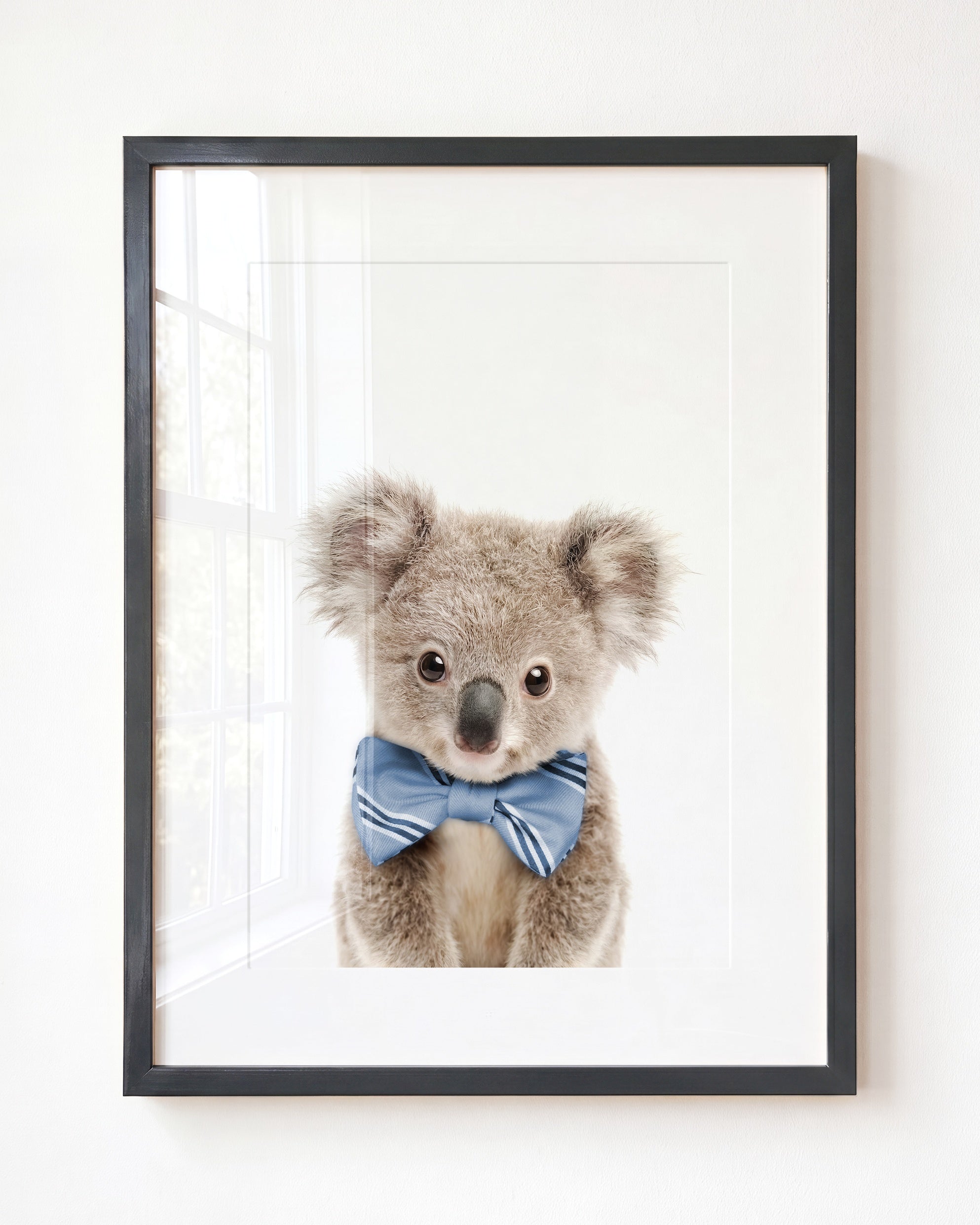 Baby Koala