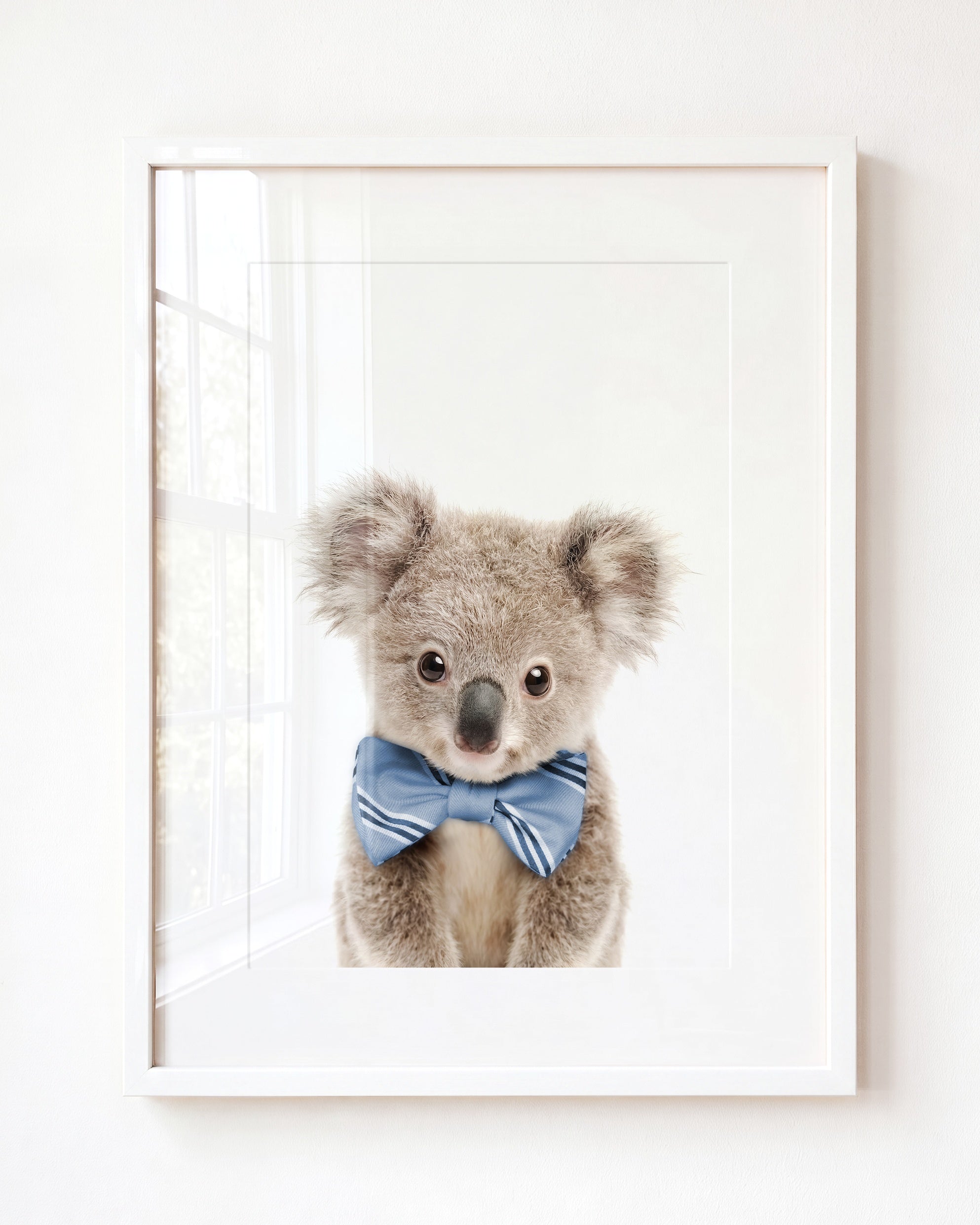 Baby Koala