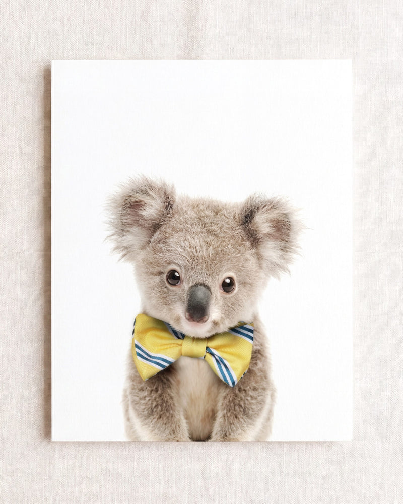 Bow Tie