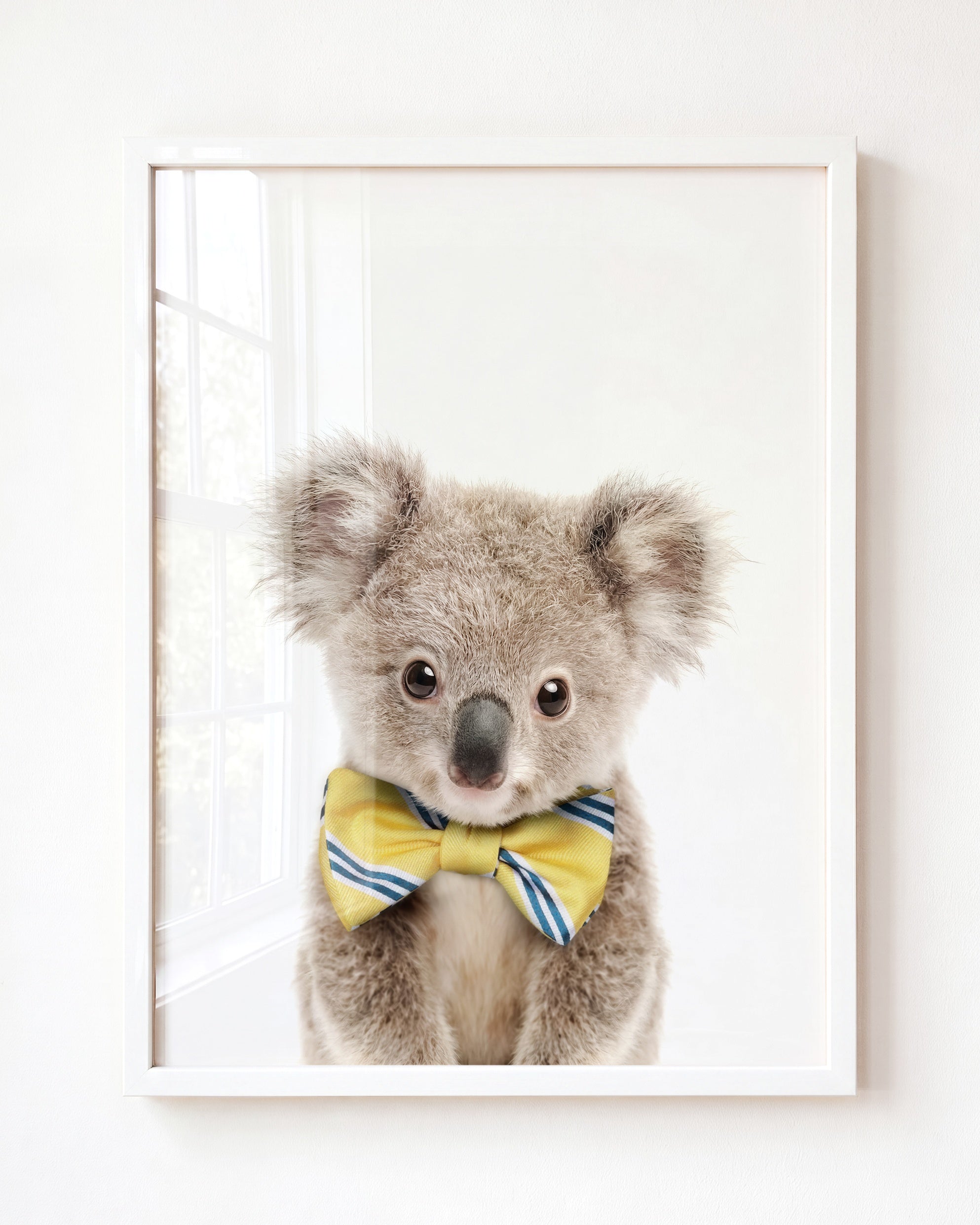 Baby Koala
