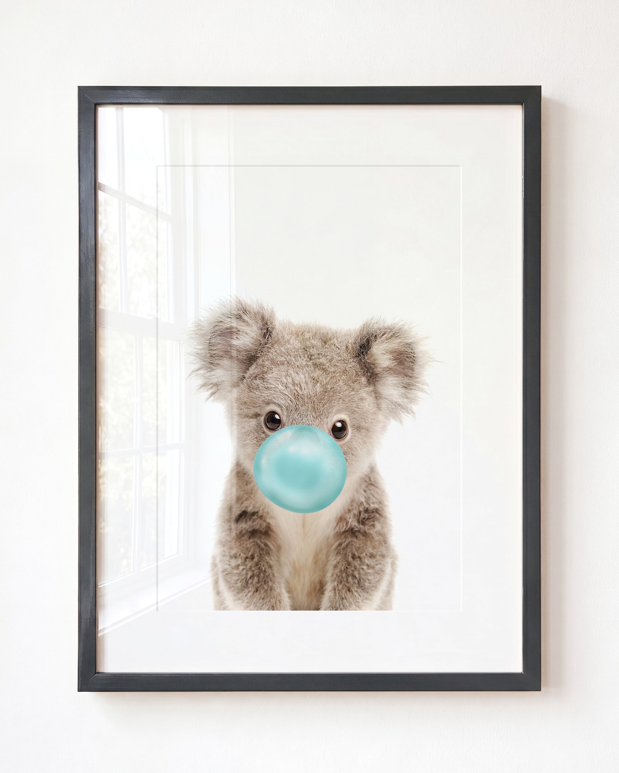Baby Koala