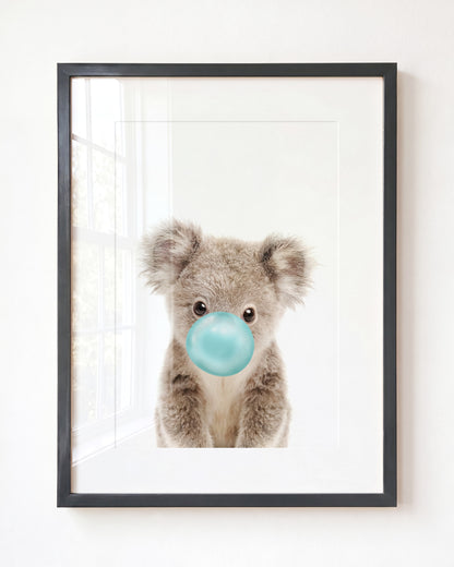 Baby Koala