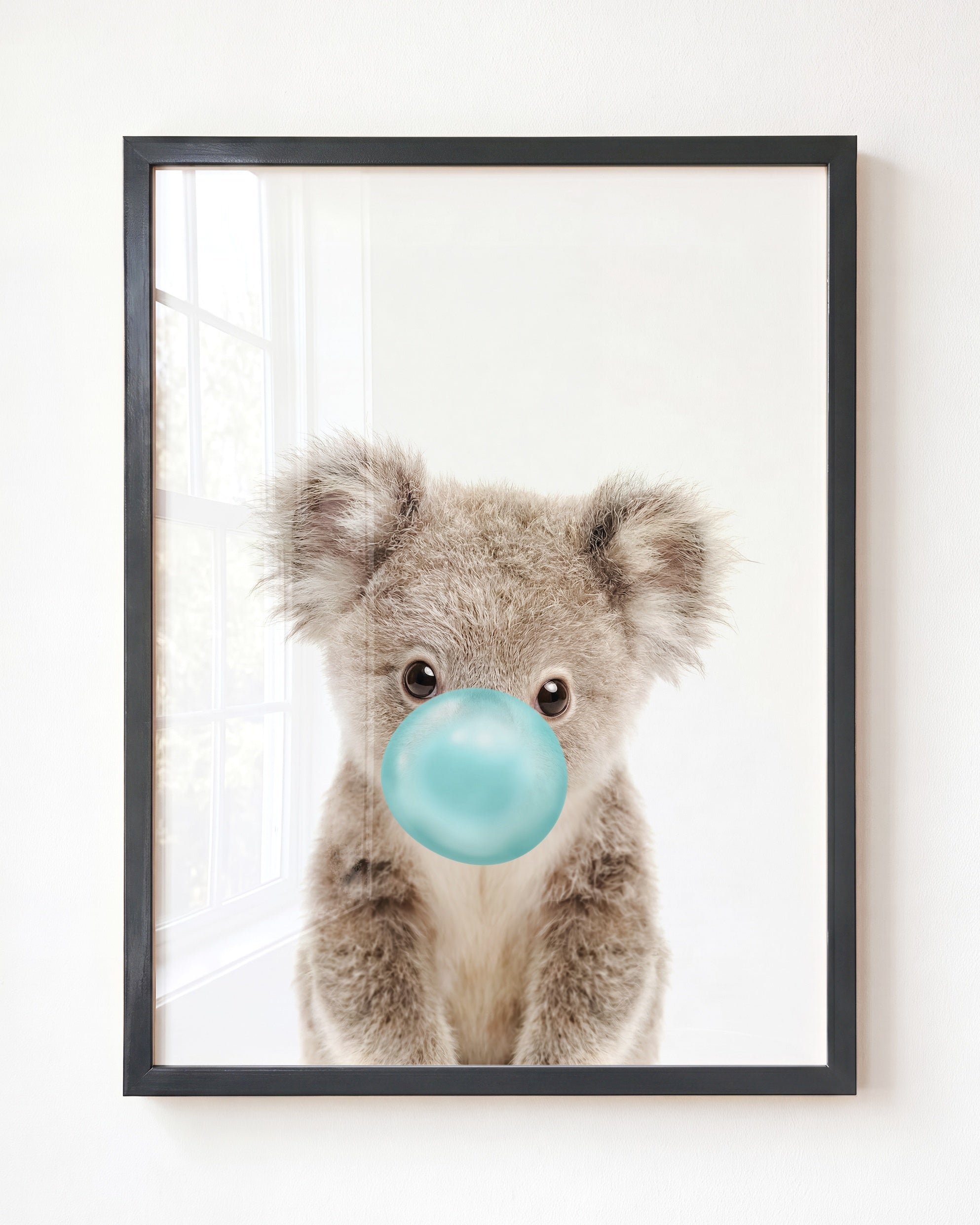 Baby Koala