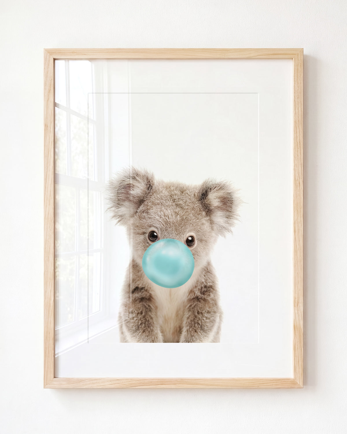 Baby Koala