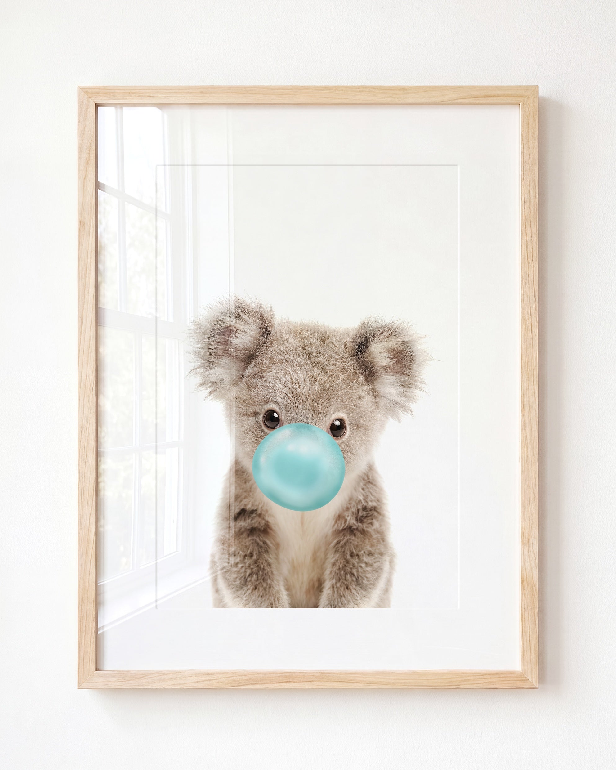 Baby Koala