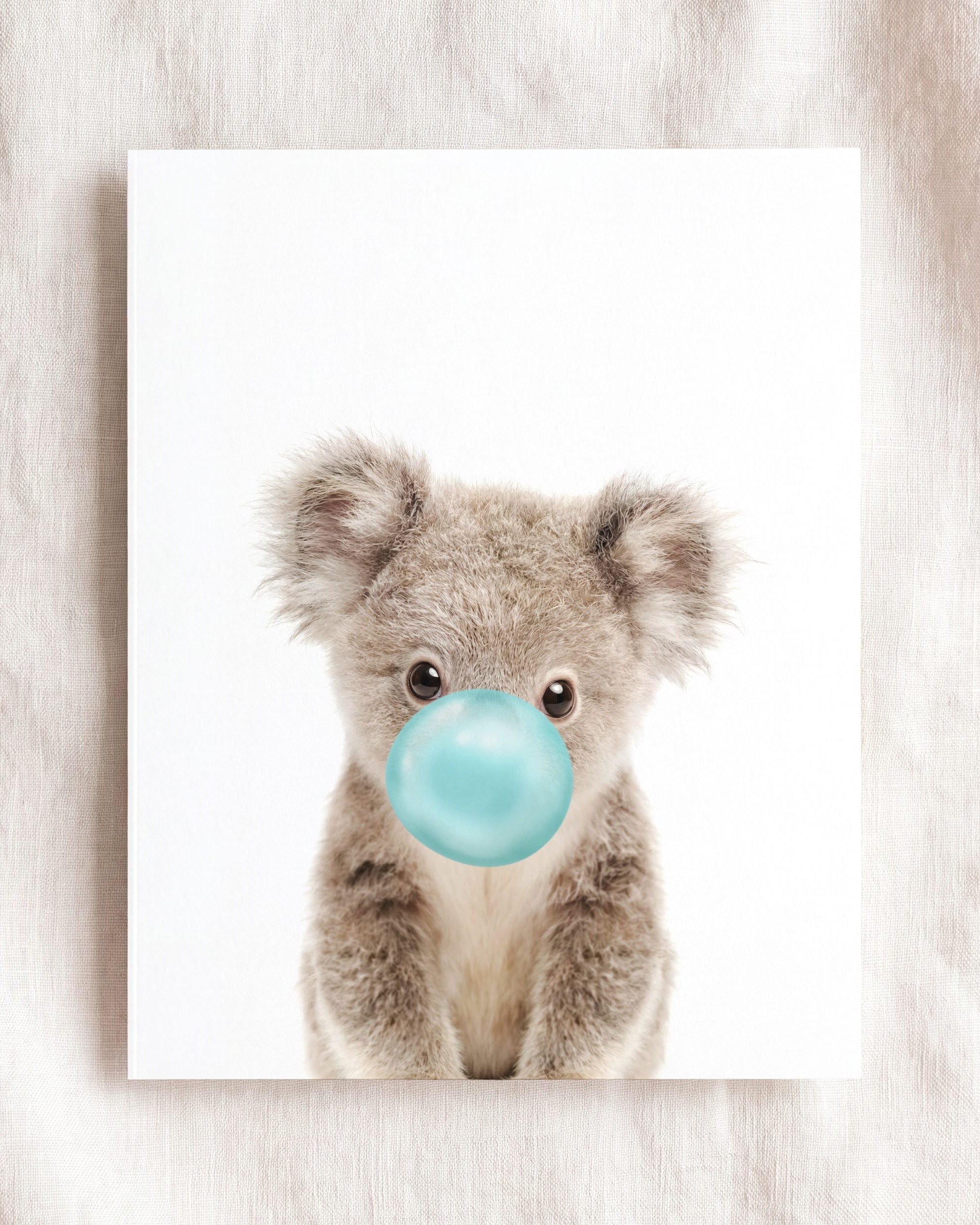 Baby Koala