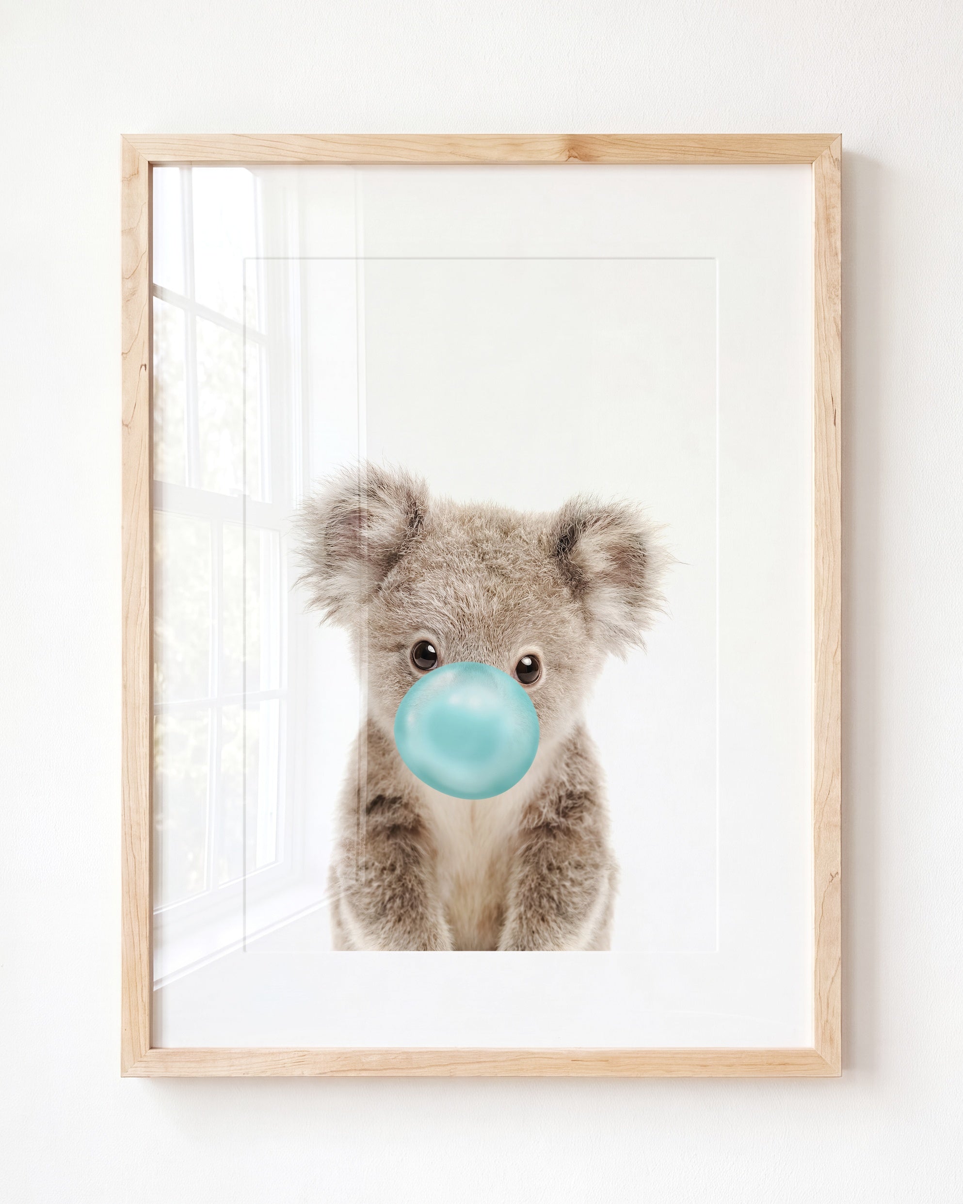 Baby Koala
