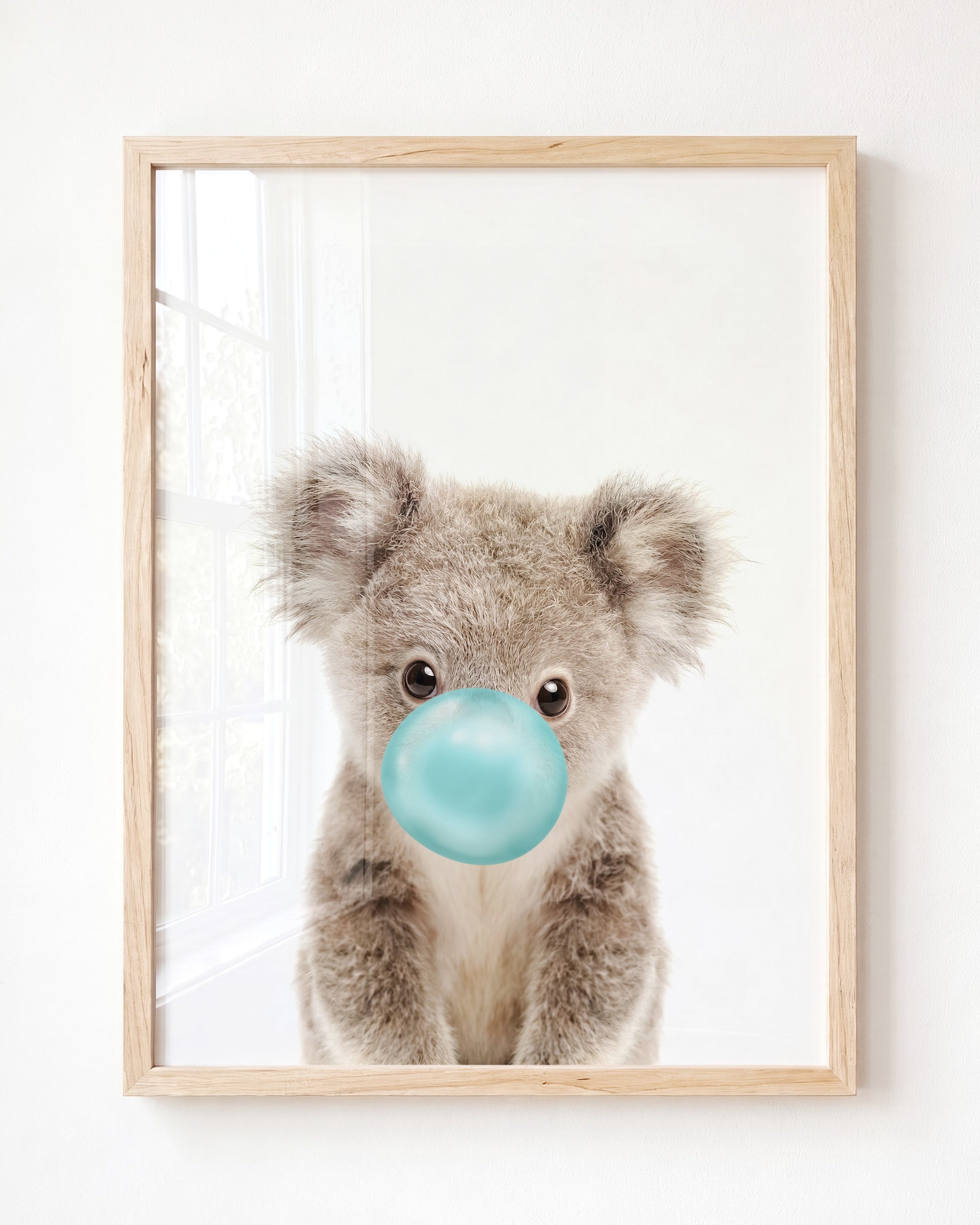 Baby Koala