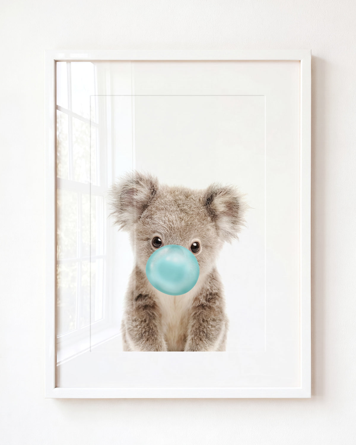 Baby Koala
