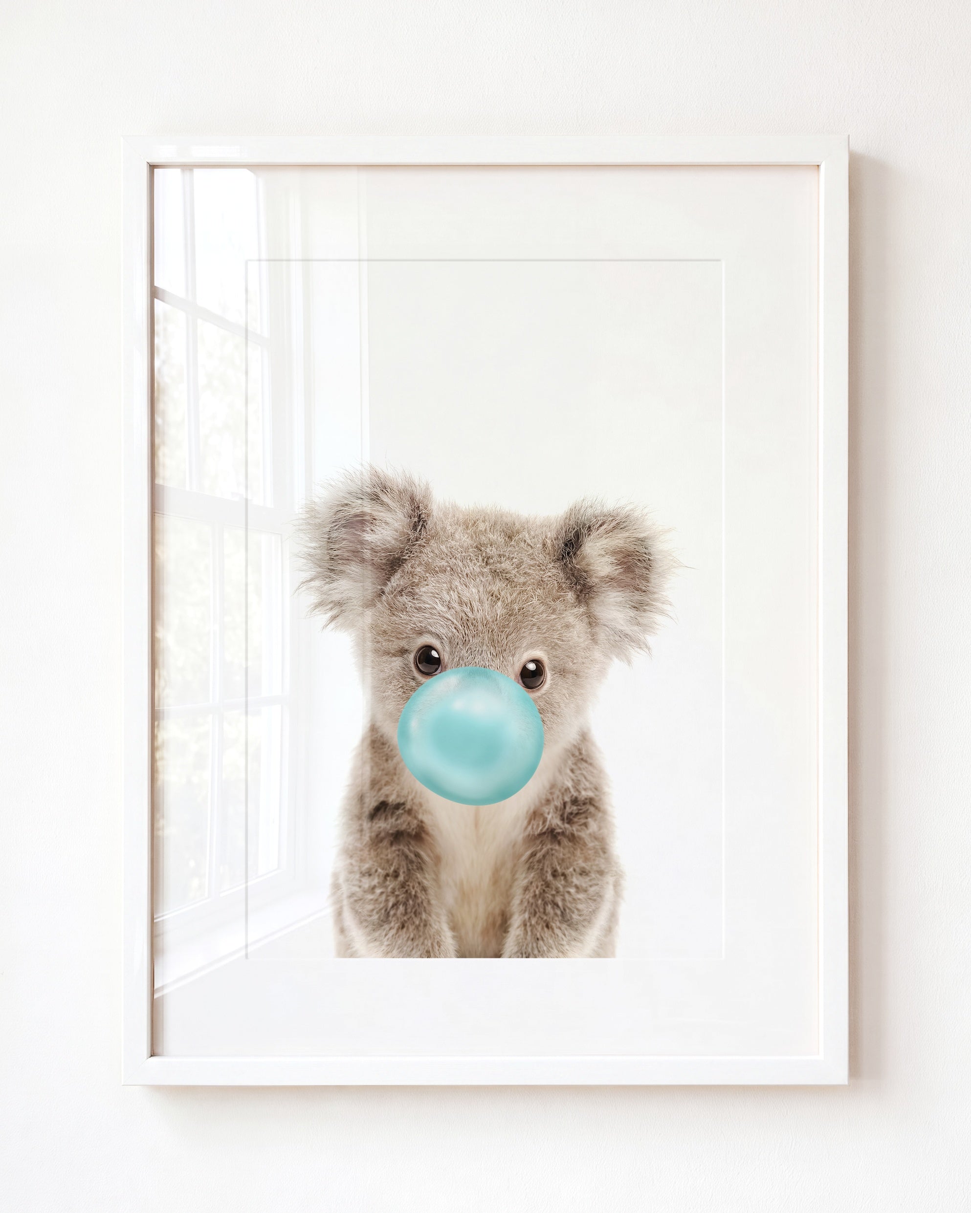 Baby Koala