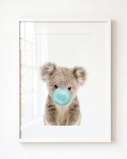 Baby Koala