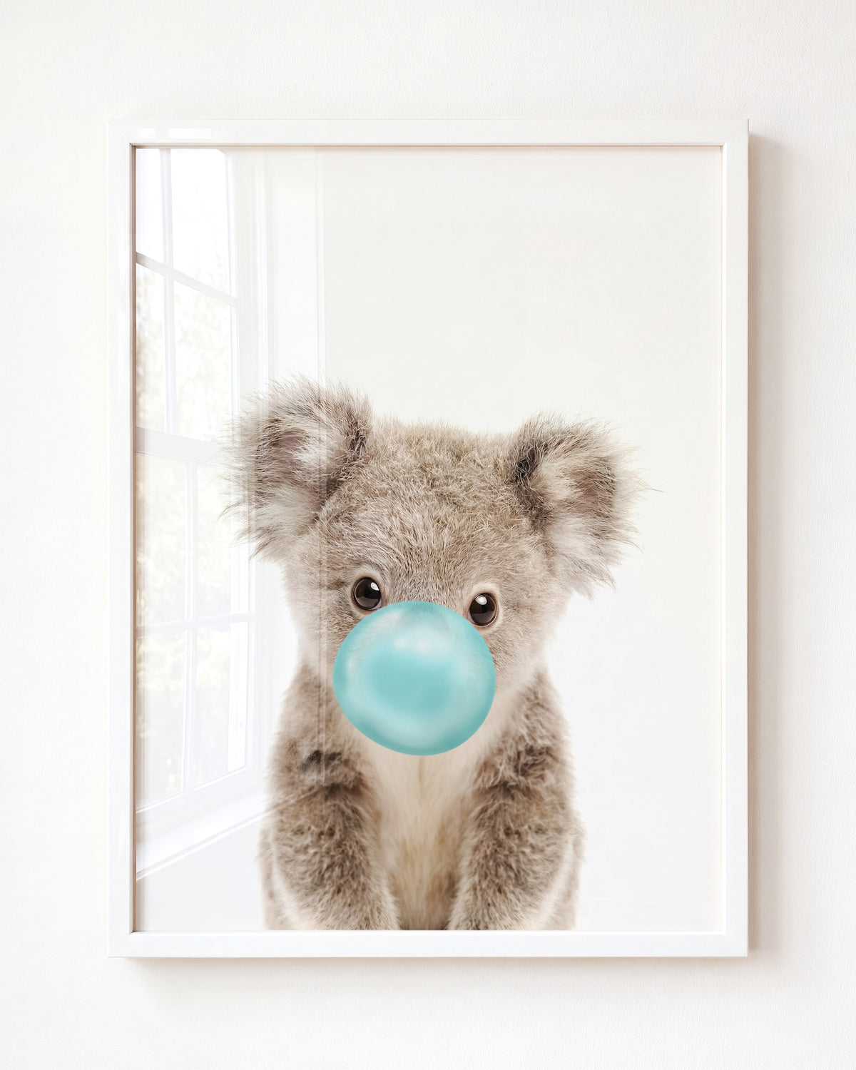 Baby Koala