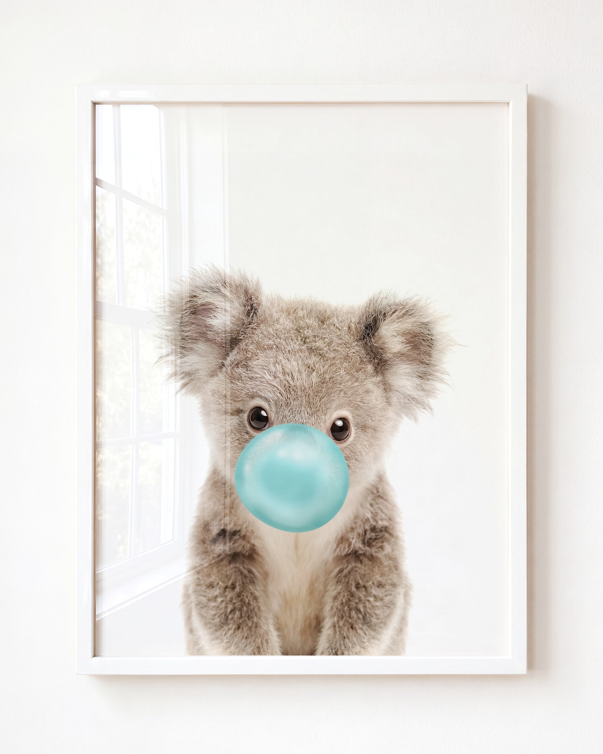 Baby Koala