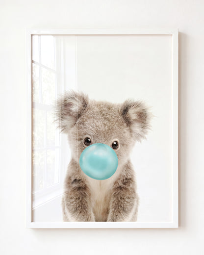Baby Koala