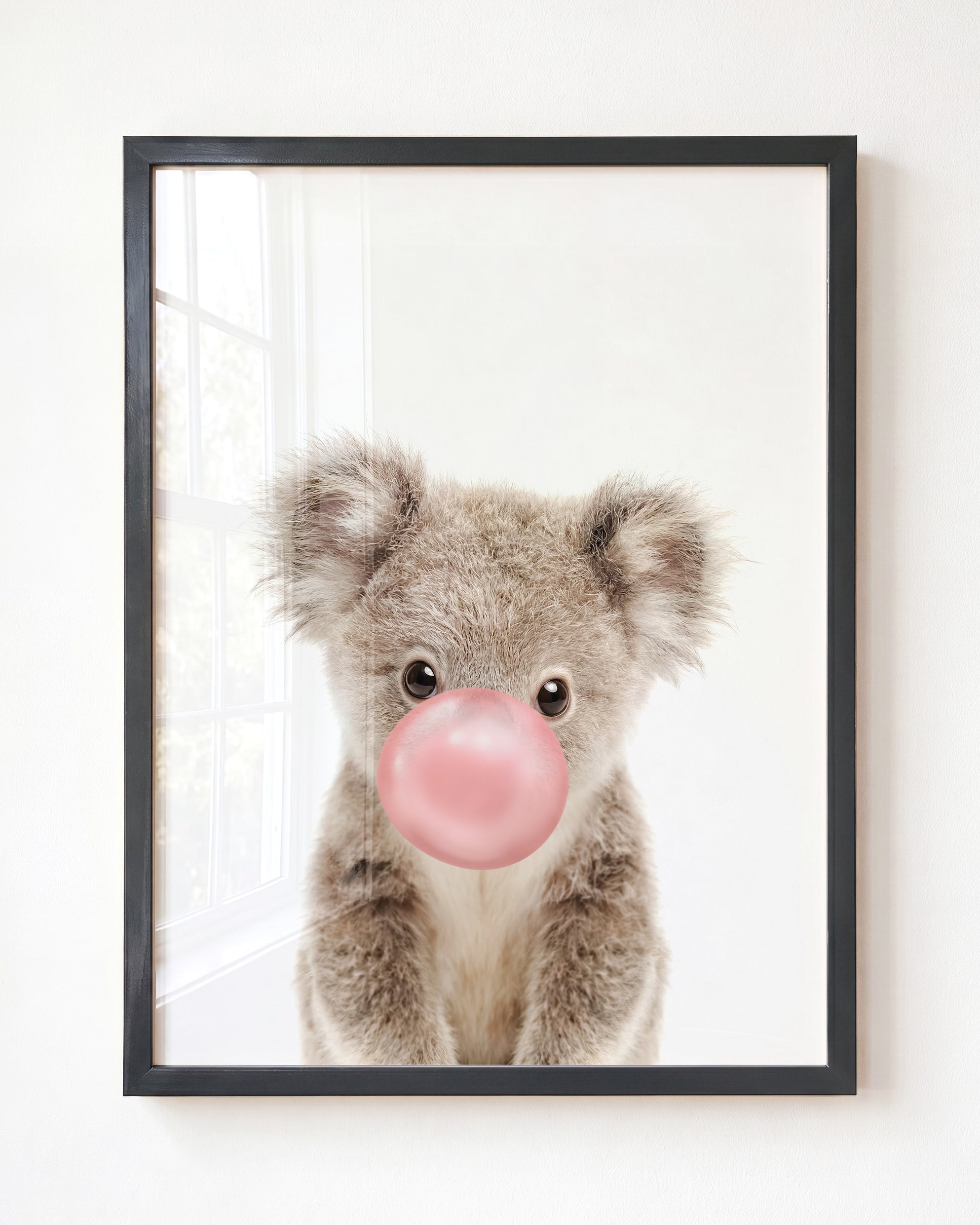 Baby Koala
