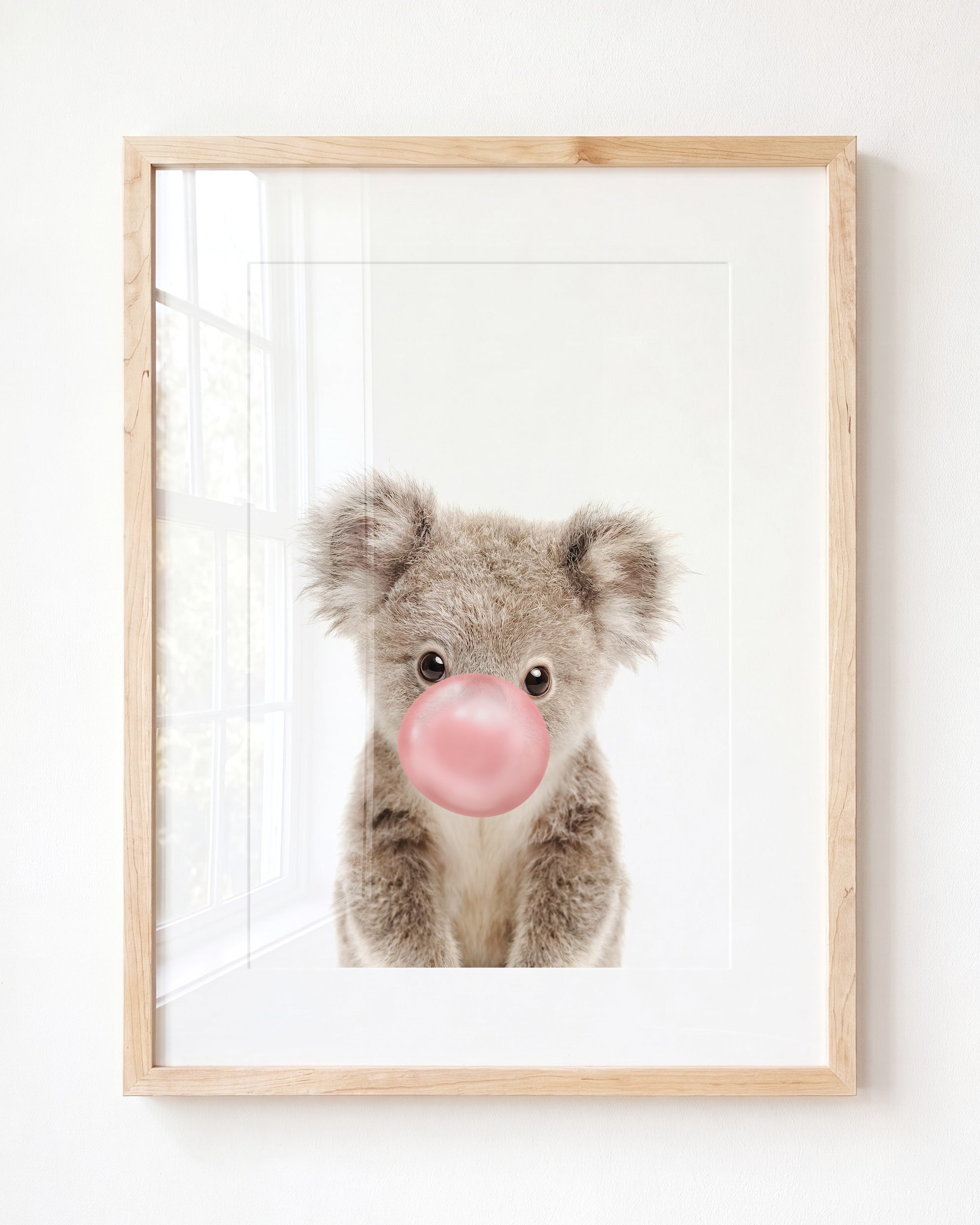 Baby Koala